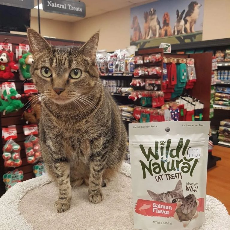 Pet Valu Canada PreBlack Friday Sale Save Up to 60 OFF Many Sale