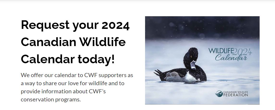 Canadian Wildlife Federation Order Your Free 2024 Calendar Canadian   Blog 184 