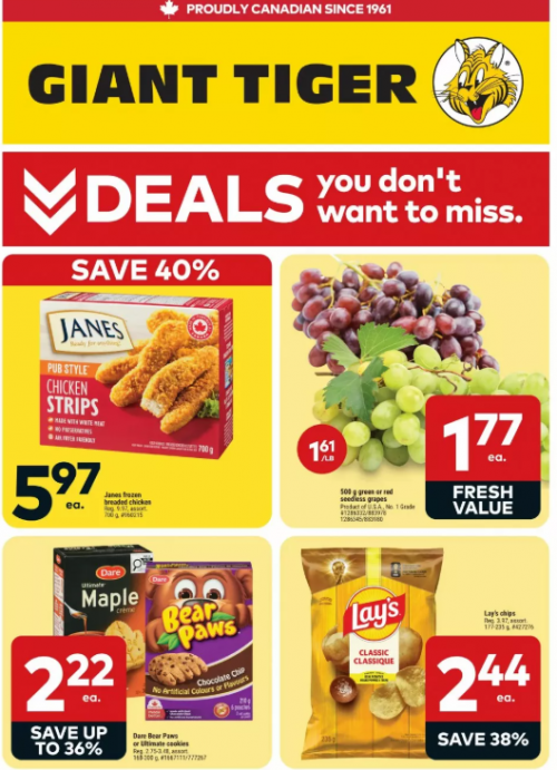 Giant Tiger Canada Flyer Deals August 19th β 25th